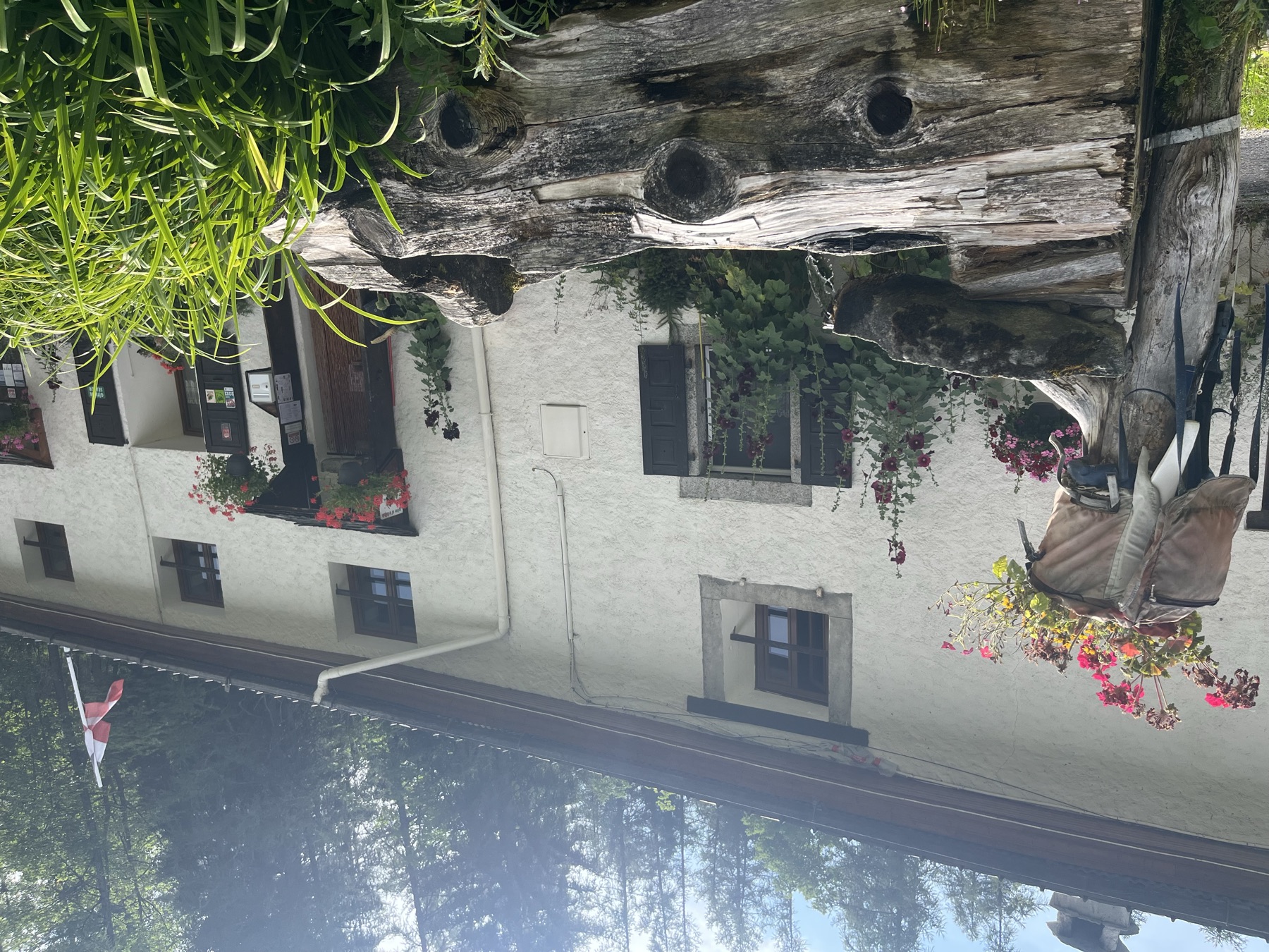 The farmhouse entrance surrounded by summer flowers